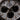 Authentic Rolex Daytona Meteorite Panda Dial Detail Close Up